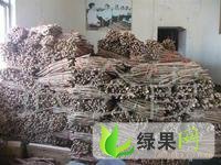 购销保鲜铁棍山药：陈集沙海张业