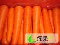 三红萝卜价格