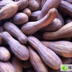 湖南汉寿秘本南瓜陈观阳