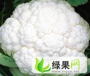 山东肥城雪玉：郭辛代效申