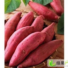 山东临沭红皮红壤：青云镇袁清合