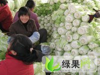 河北定州北京新三号：北平谷王小强