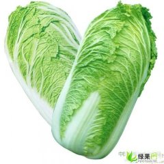 河南通许夏先锋：兰南高王建英