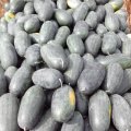 广西区，西乡塘，黑美人，红虎：坛洛镇邓收伟，代办