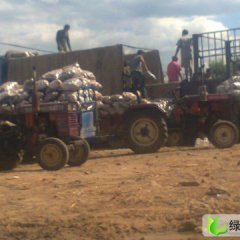 河北围场克新以大量上市