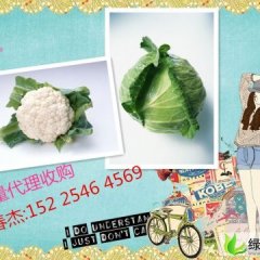 河南通许雪玉：冬季小京包马春华