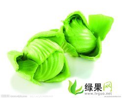 广西雁山包心芥菜：雁山镇桂林小刘