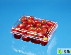 广东金平水果塑胶包装盒：护堤路林少斌