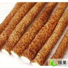 福建永安淮山药：罗坊乡马小强