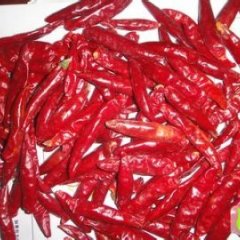 山东金乡天宇辣椒：金乡镇徐超