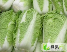 平阴孝直韩洋北京三号白菜大量供应