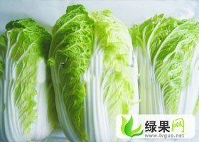 山东苍山秋宝白菜：庄坞镇杨先生