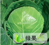 河南新野城郊乡李军伟：代收各类