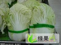 供应：通许优质大白菜 东京7号 868