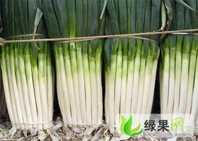 山东平度铁杆大葱：南村镇刘翠香