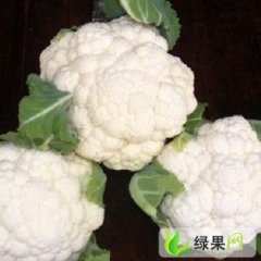 河南新野县曹小强：优质有机散花0.20至0.30每/ 斤