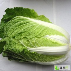河南商丘夏邑大白菜代理收购