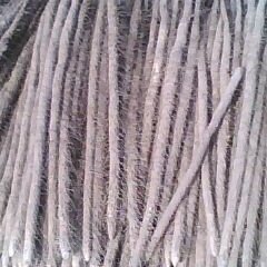 山东巨野铁棍山药：章缝镇商义伟