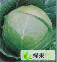 湖北荆州区金锋平包：岑河杨明