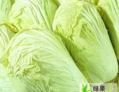 河南通许县 超低价大量供应新鲜大白菜