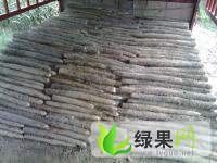 湖北宜城九斤黄山药：郑集镇黄靖