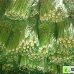 山东沂南皇妃芹菜：房家庄谢跃章