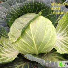 春玉甘蓝。可大田论亩出售。价格详谈。