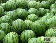 西瓜保鲜库安装找上海开冉！
