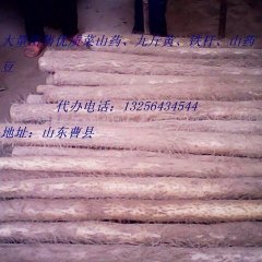 山东曹县九斤黄山药、铁杆山药、山药豆