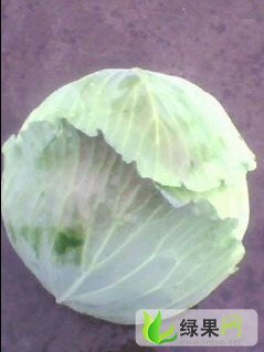 湖北嘉鱼平包：潘家湾刘国杰