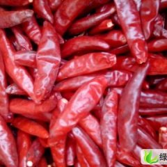 山东省金乡蔡建国供应三樱干辣椒