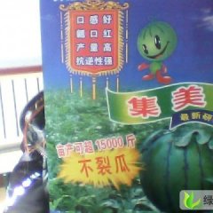 河北清苑华新863集美：东吕乡田战明