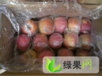 2013山西红富士苹果价格