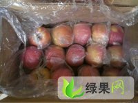 2013山西红富士苹果价格