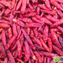 金乡三鹰辣椒干鸡黍王启发