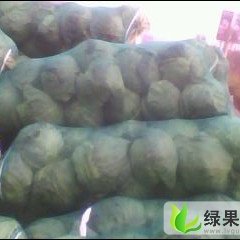 湖北嘉鱼荷兰皮球：潘家湾刘国杰