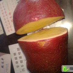 甘肃安定青署168