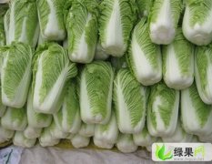 潍坊市大章蔬菜批发市场小义和秋0.26元/斤