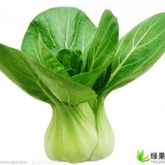 四川彭州上海青：军乐镇杨爽