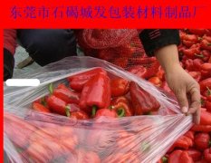 广东香港高透明蔬菜防雾冰箱自粘袋