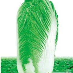 河北隆尧北京新三号：山口镇张素