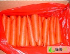 河南通许三红萝卜：胡萝卜体型好