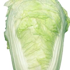 开封通许县入库白菜大量上市