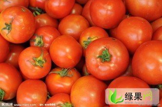 山东泰安岱岳区华诺，迪诺：岱岳区蔬菜代办