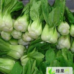 山东青州小油菜：蔬菜瓜孙国梁