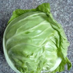 河南新野中甘，旺旺 克日，圆甘蓝：城郊乡喻先生