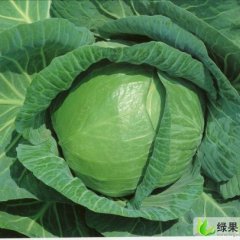 最优质最便宜的平包~抓紧抢购~！