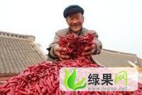 辽宁凌海子弹头：右卫镇雨硕