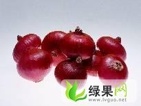 山东苍山金乡卜集洋葱