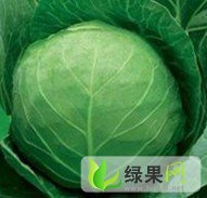 河南南阳甘蓝质优价廉，价格0.15元，欢迎选购！